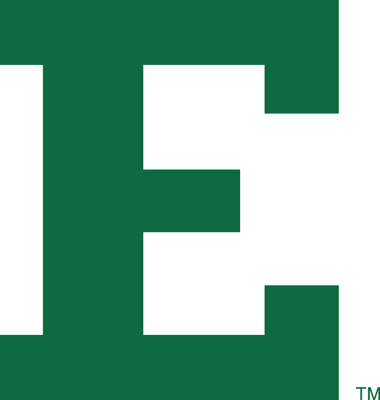 Eastern Michigan Eagles 1995-2001 Alternate Logo diy fabric transfer
